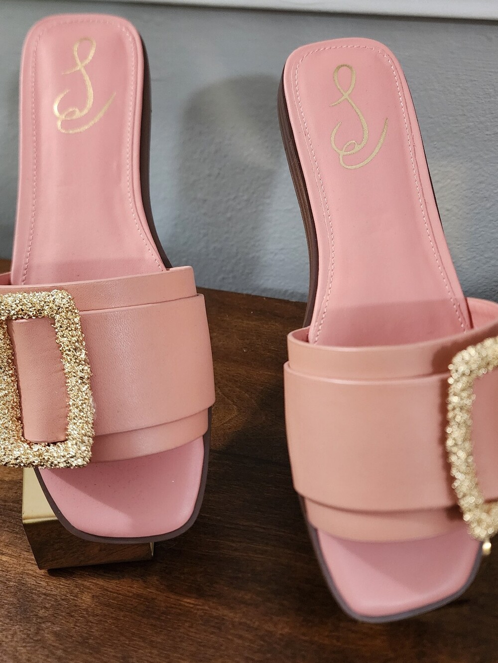 NIB Sam Edelman Inez Canyon Clay - Picture 2 of 4
